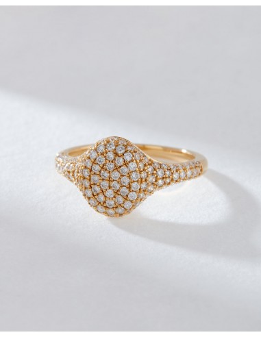 The Perfect Pave Signet Ring Comparez et commandez 