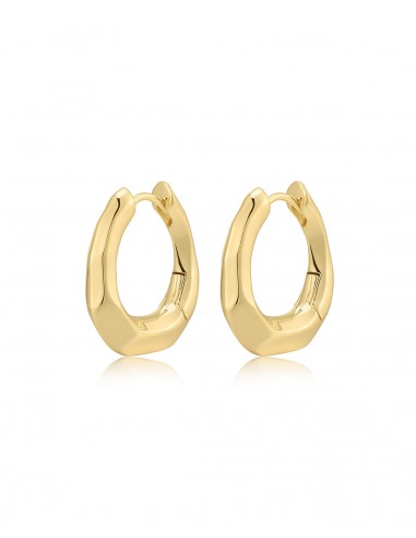 The Delphine Hoops online