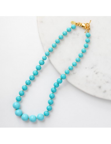 Noni Turquoise Necklace offre 