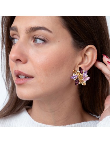 Alice Purple Clip Crystals Earrings meilleur choix