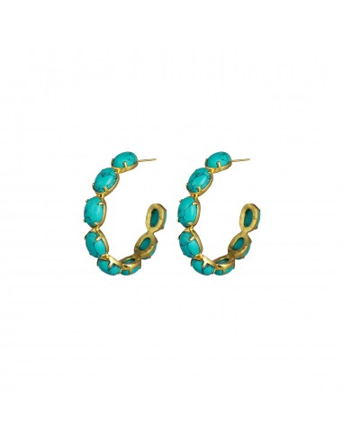 Como Earrings Turquoise Comparez plus de prix