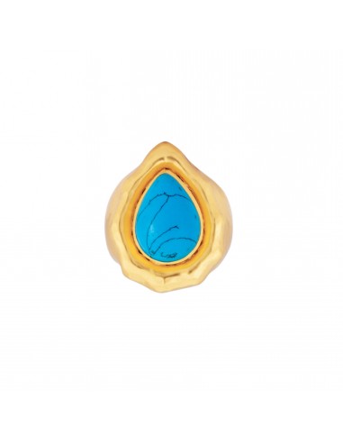 Paulina Ring Blue Turquoise Comparez plus de prix