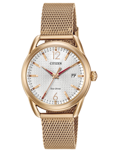 Citizen Men Watch Gold FE6083-72A l'achat 