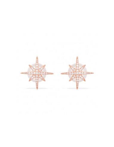 APM Meteorites Rose Stud Earrings with Pearls RE10285XPL brillant des détails fins