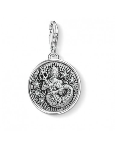 Thomas Sabo Charm Pendant "Zodiac Sign Aquarius" 1638-643-21 est présent 